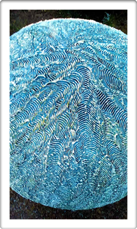 Austin Hobbies Classes